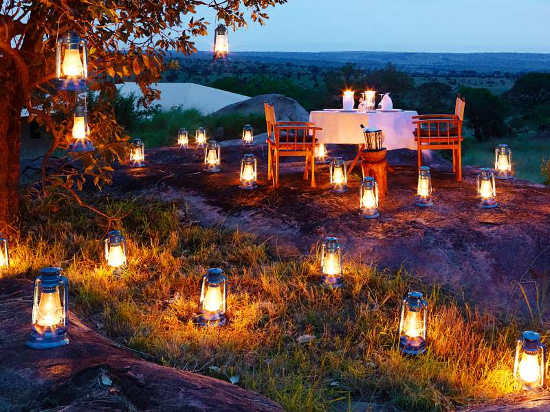 bush-dinner-1 bush-dinner-1