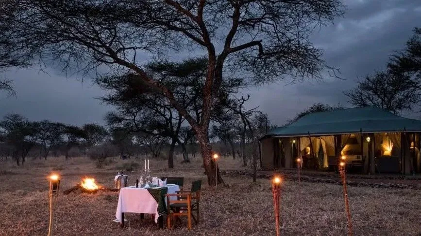 bush-dinner-2 bush-dinner-2