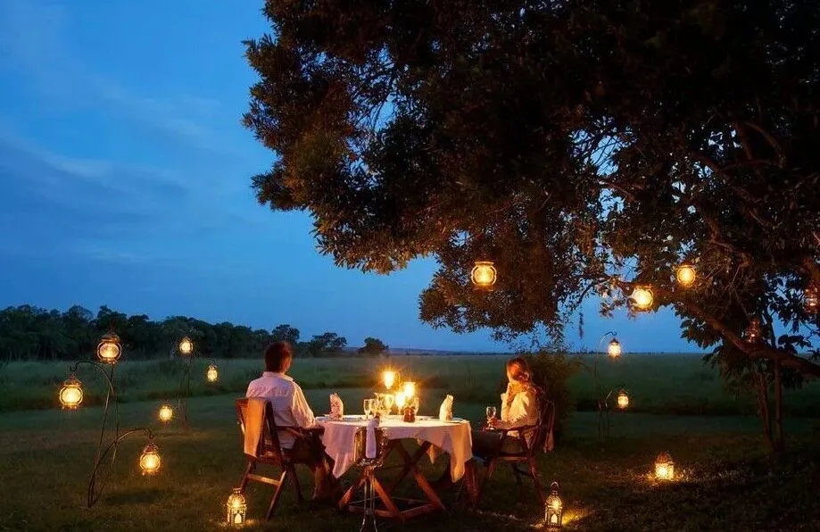 bush-dinner-3 bush-dinner-3