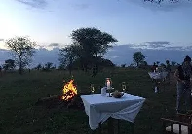 bush-dinner bush-dinner