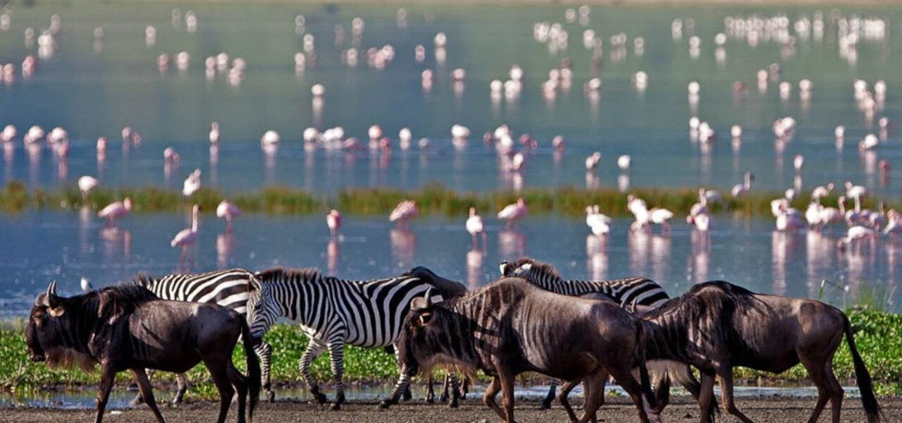 When is the Best Time To Visit Tanzania?