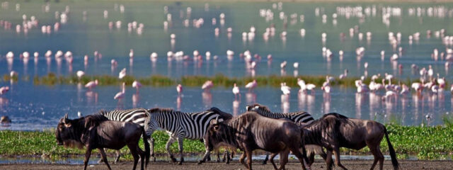 When is the Best Time To Visit Tanzania?
