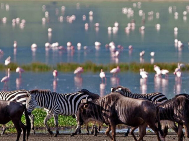 When is the Best Time To Visit Tanzania?