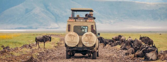 Travel Insurance