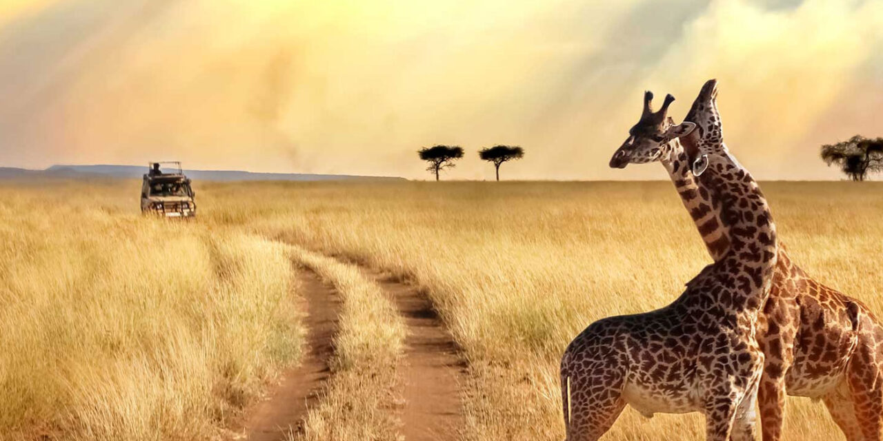 Tanzania Travel Advice