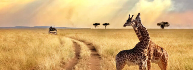 Tanzania Travel Advice