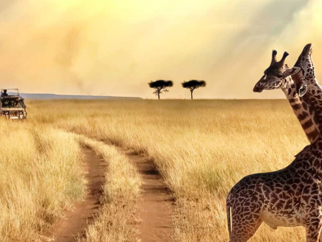 Tanzania Travel Advice
