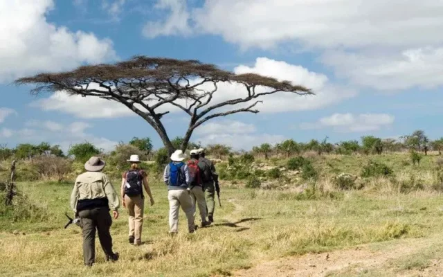 Walking safari in Ruaha National Park – Half day