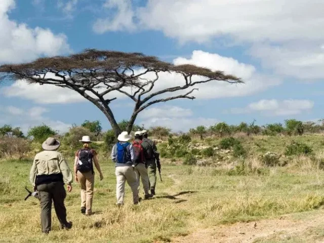 Walking safari in Ruaha National Park – Half day